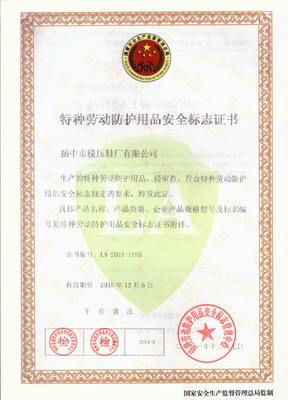 洪野牌安全防護鞋 模壓工藝打造堅固防線，網(wǎng)絡(luò)技術(shù)服務(wù)賦能高效安全